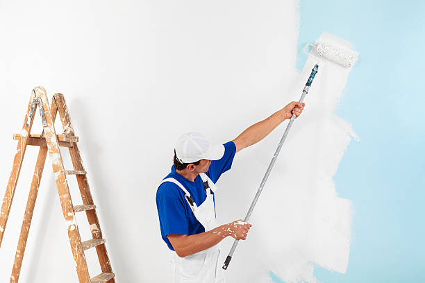 Best Painter in the Gold Coast