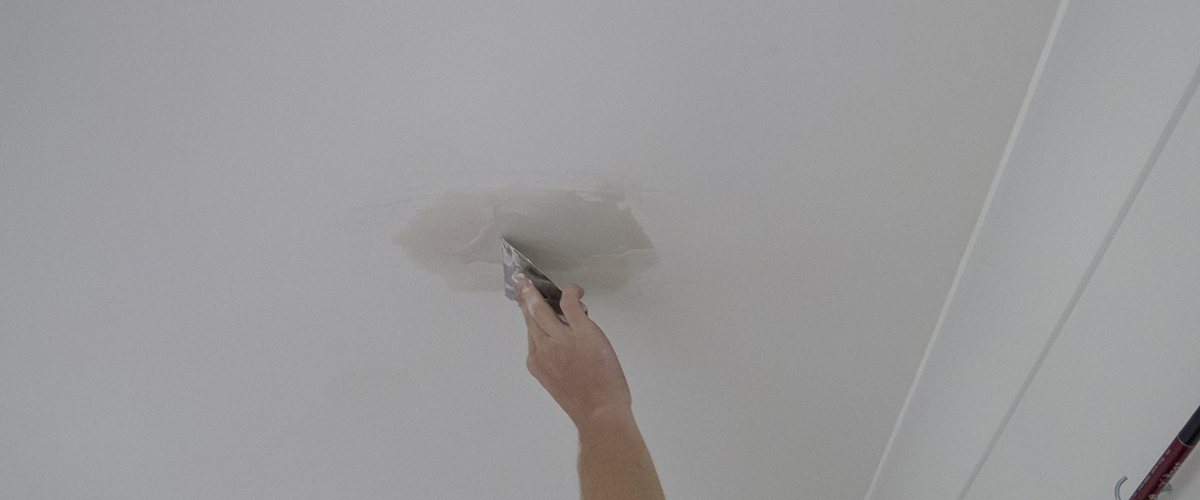 Ceilings Painters in Gold Coast
