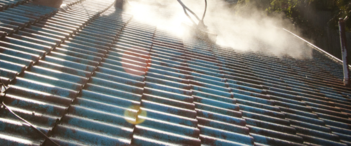 Roof Painter in Gold Coast