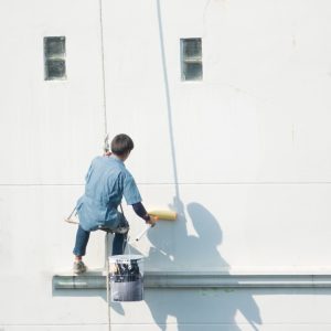 Expert Painters