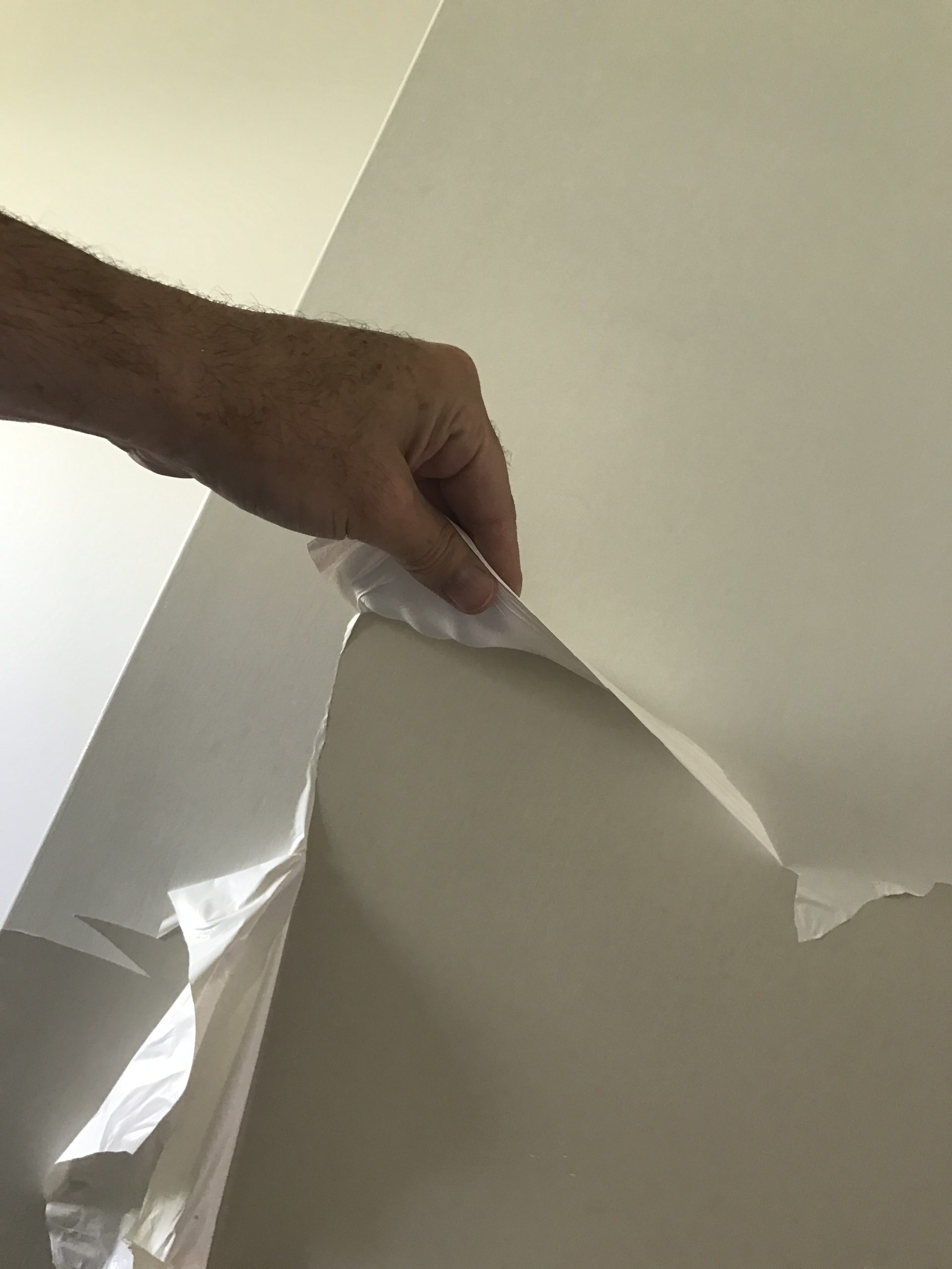 Top Painters in Gold Coast QLD