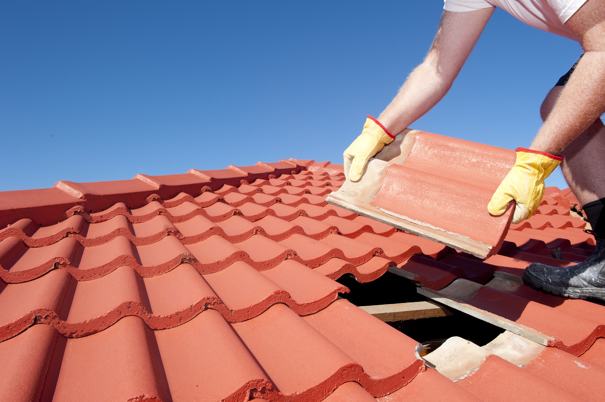 Roof Restoration Services