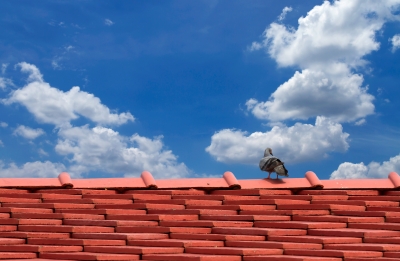 Gold Coast Roof Restorations Contractors