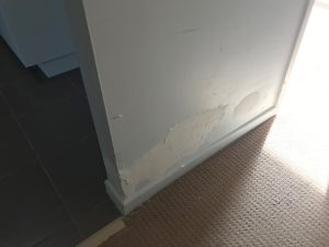 Wall Painters