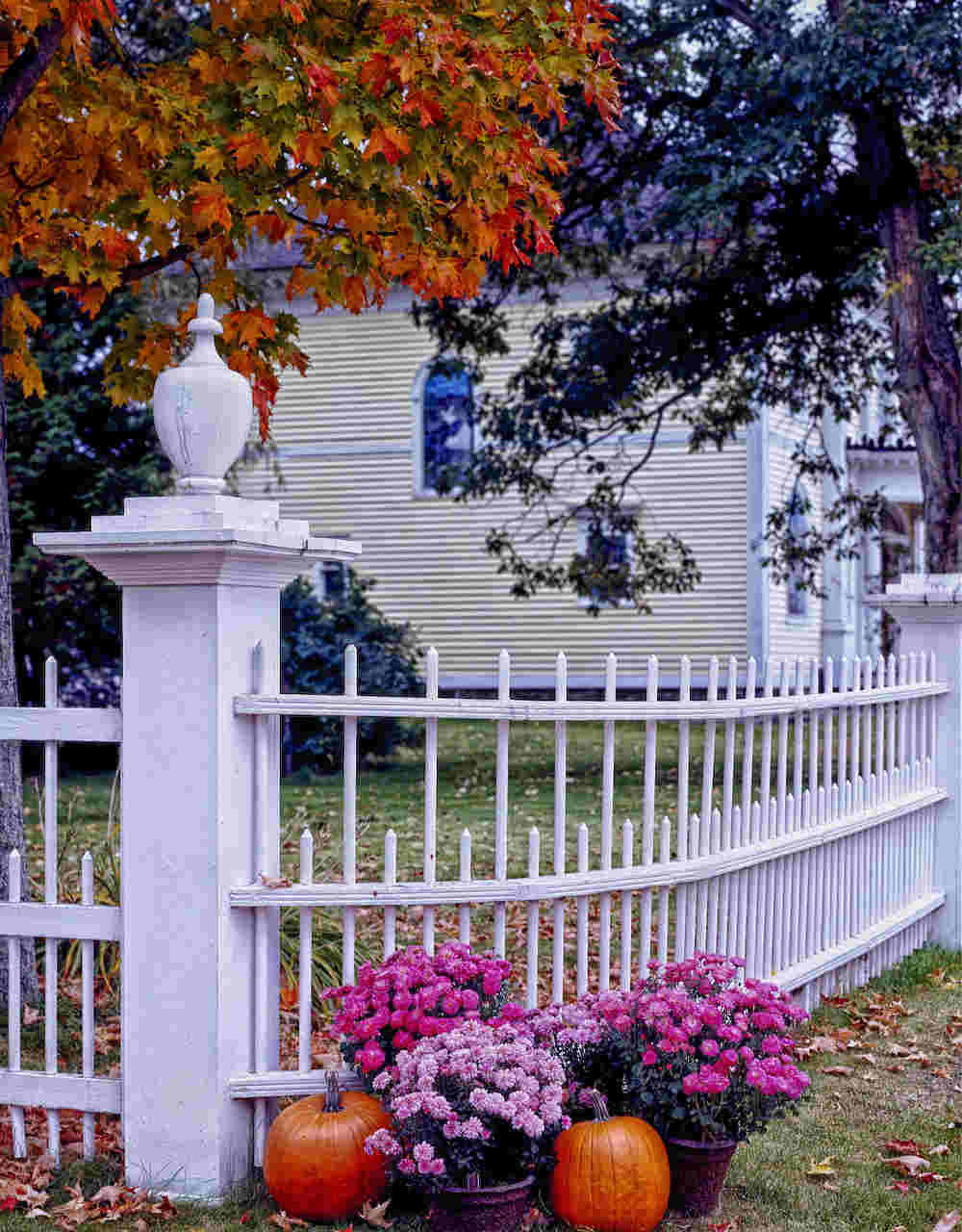 House Fence Painters Gold Coast