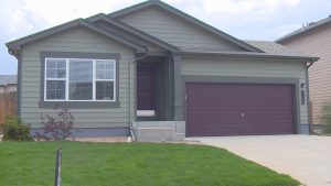 Painting Services Gold Coast