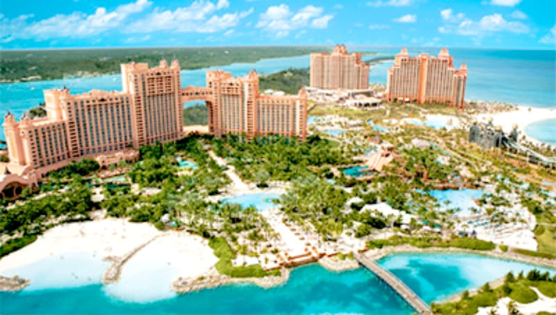 Painters in Paradise Island