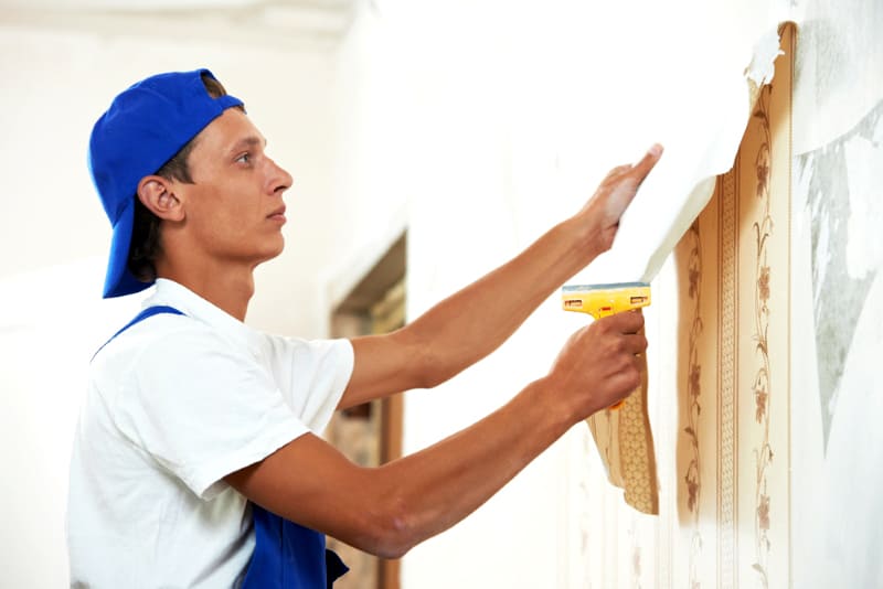 House Painting Logan And Beenleigh